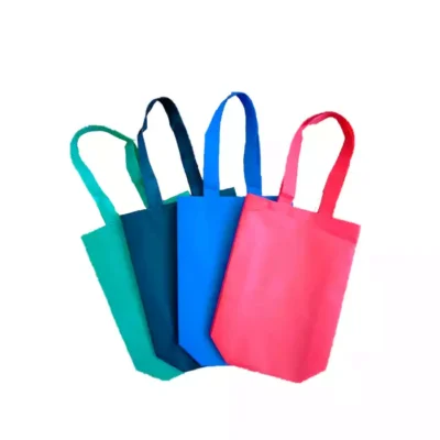 Bolso Ecológico IV